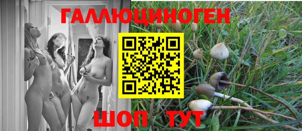 Галлюциногенные грибы MAGIC MUSHROOMS  Псилоцибиновые грибы GOLDEN TEACHER  Вход с VPN  Кандалакша 