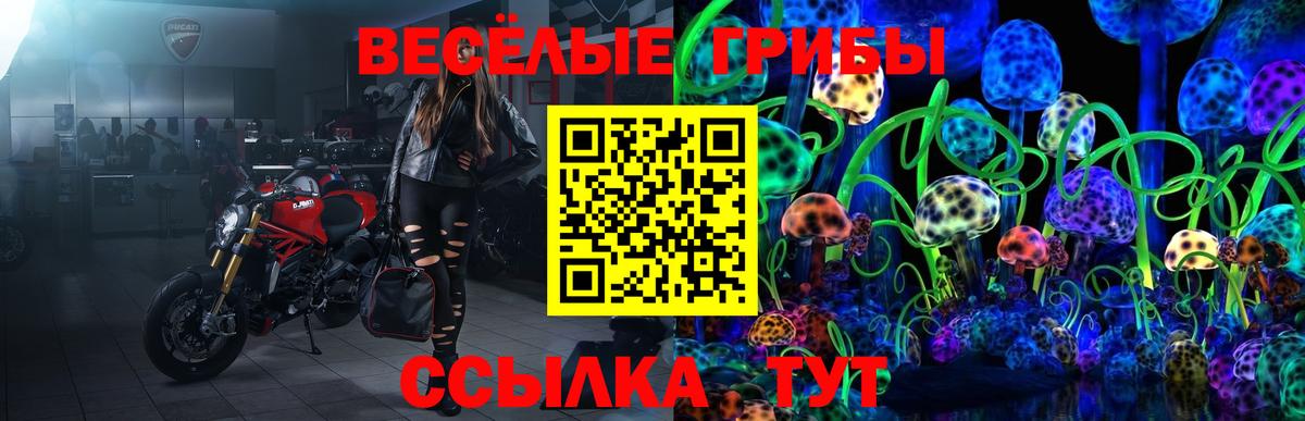 Галлюциногенные грибы Cubensis Кандалакша